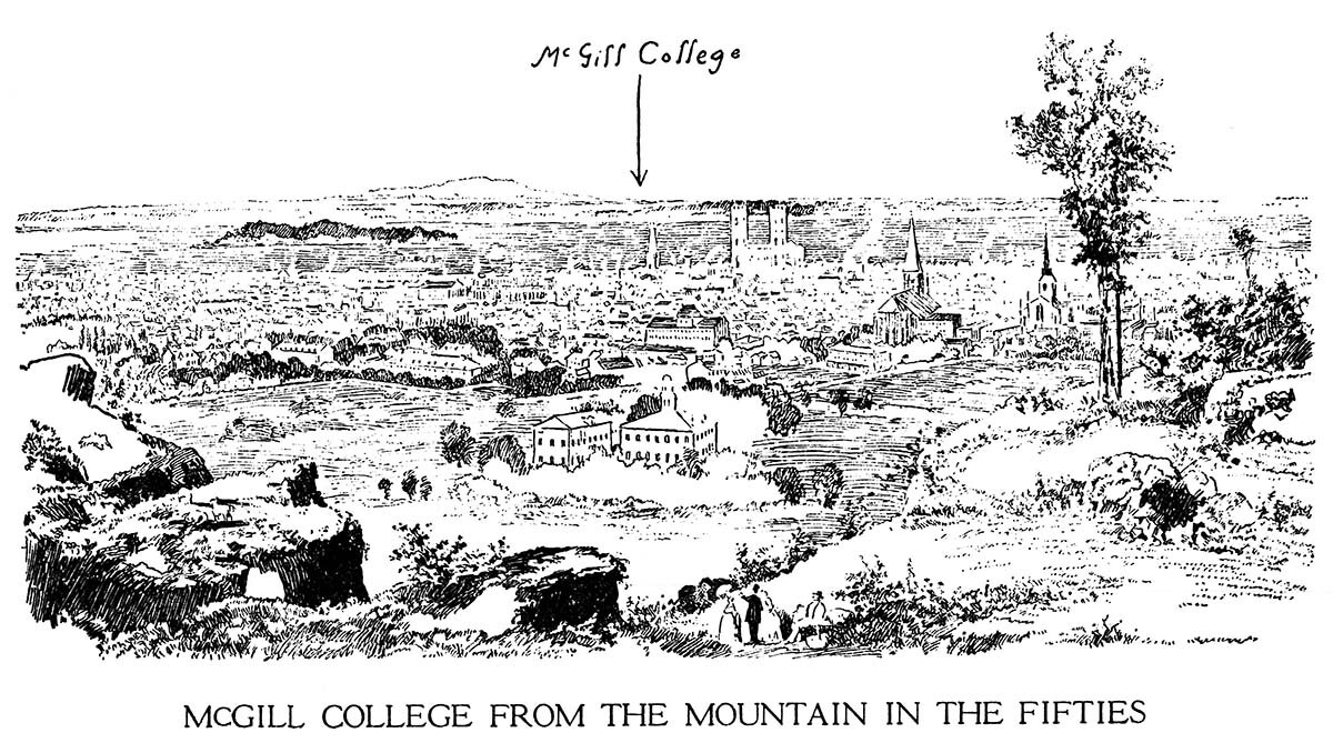 McGill College From the Mountain